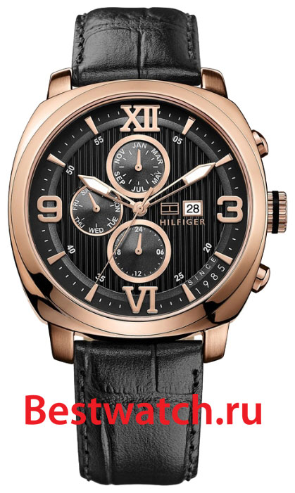 Часы Tommy Hilfiger Fitz 1790969